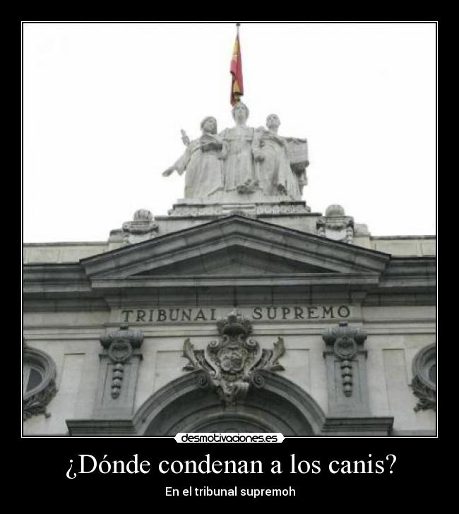 carteles motosierra94 desmotivaciones