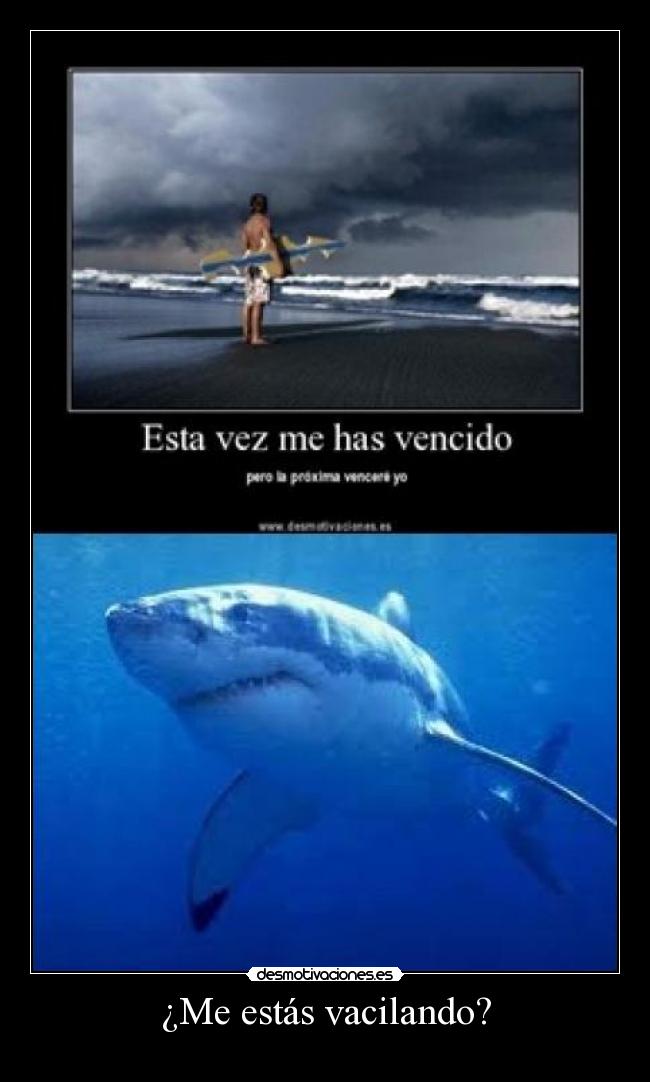 ¿Me estás vacilando? - 