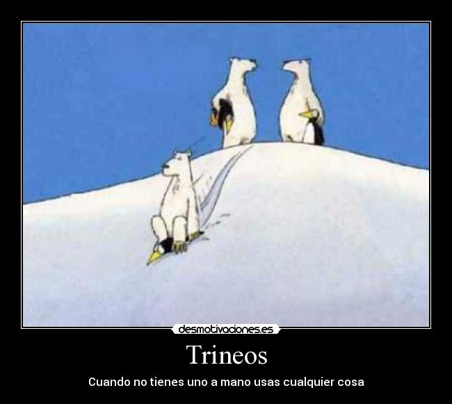 Trineos - Cuando no tienes uno a mano usas cualquier cosa