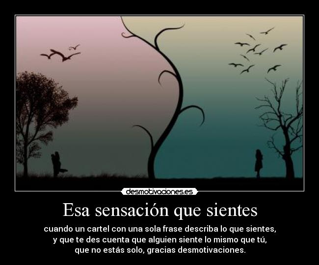 Esa sensación que sientes - 
