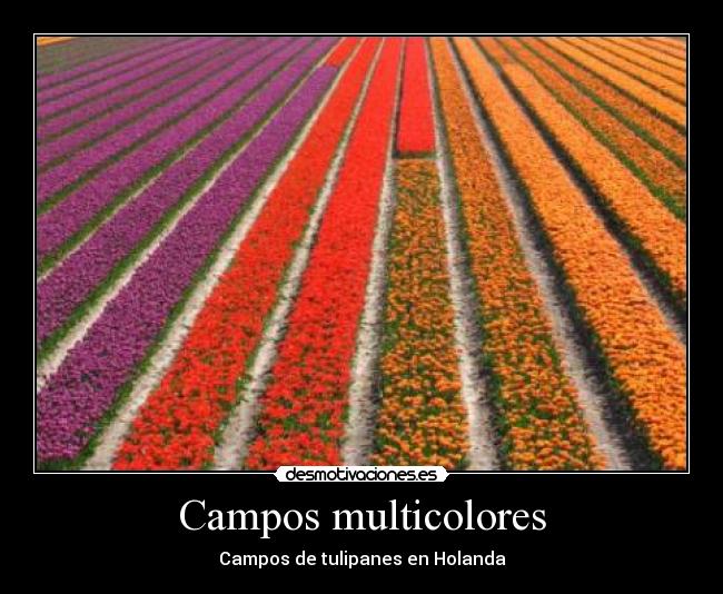 carteles jjk desmotivaciones