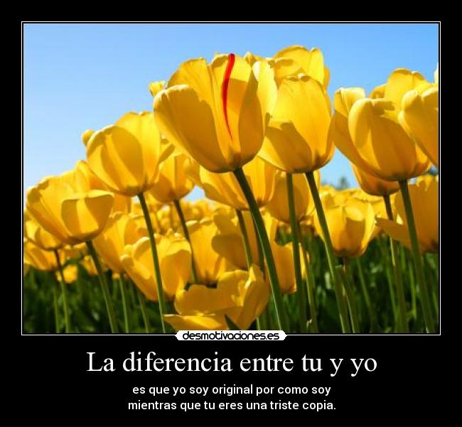 carteles 6780 desmotivaciones