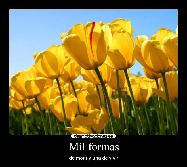 Mil formas - de morir y una de vivir