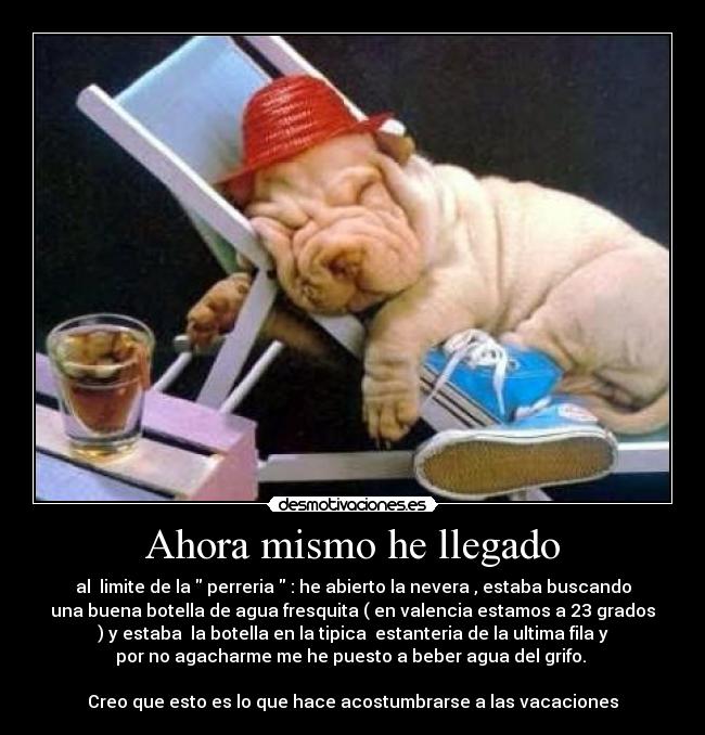 Ahora mismo he llegado - al limite de la perreria : he abierto la nevera , estaba buscando
una buena botella de agua fresquita ( en valencia estamos a 23 grados
) y estaba la botella en la tipica estanteria de la ultima fila y
por no agacharme me he puesto a beber agua del grifo.
Creo que esto es lo que hace acostumbrarse a las vacaciones