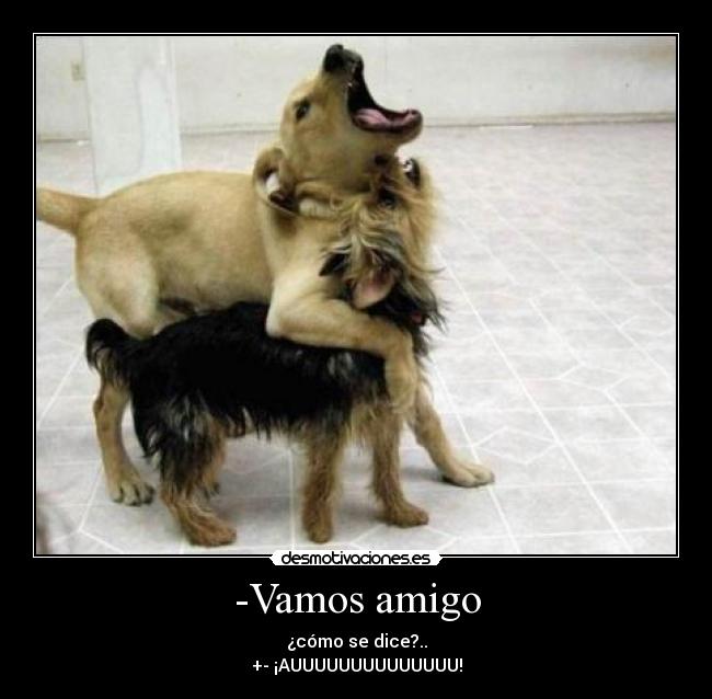 -Vamos amigo -