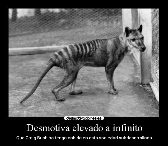 Desmotiva elevado a infinito - Que Craig Bush no tenga cabida en esta sociedad subdesarrollada