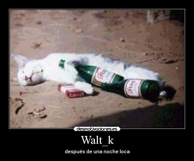 Walt_k - después de una noche loca