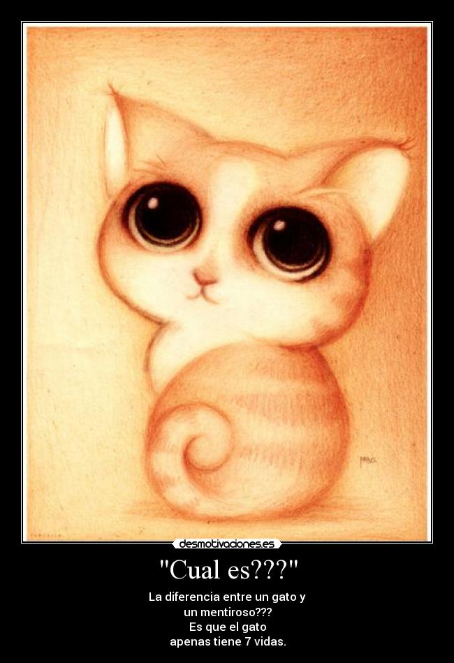 Cual es??? - 