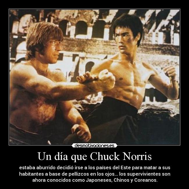 Un día que Chuck Norris - estaba aburrido decidió irse a los países del Este para matar a sus
habitantes a base de pellizcos en los ojos... los supervivientes son
ahora conocidos como Japoneses, Chinos y Coreanos.