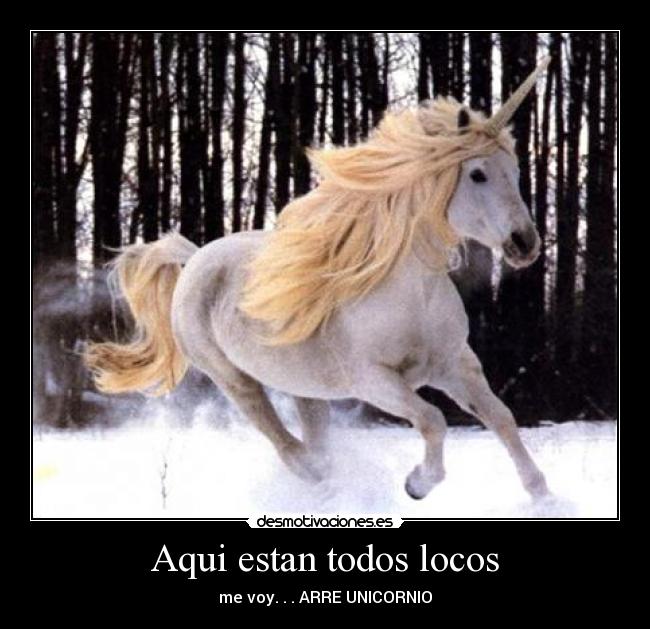 Aqui estan todos locos - me voy. . . ARRE UNICORNIO