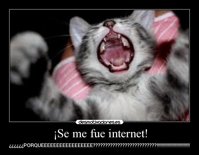 ¡Se me fue internet! - 
