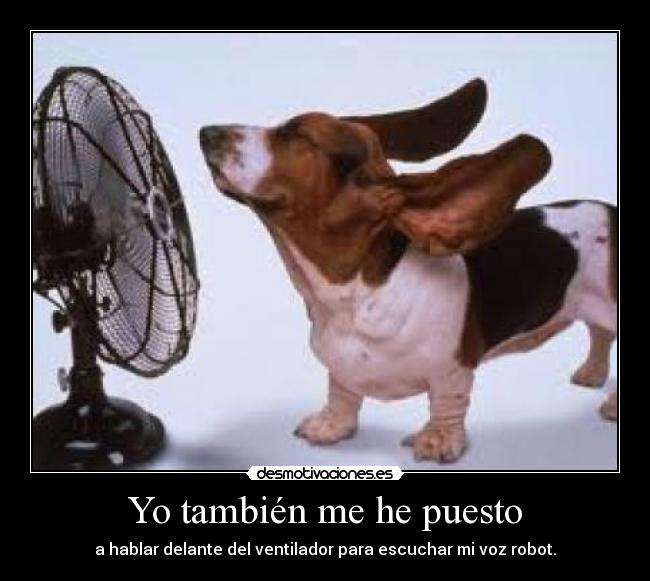 Yo también me he puesto -