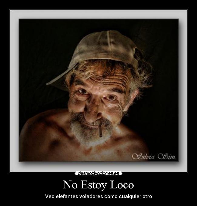 No Estoy Loco - Veo elefantes voladores como cualquier otro