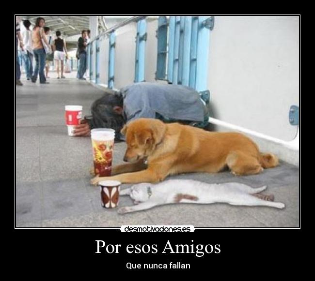 Por esos Amigos - Que nunca fallan