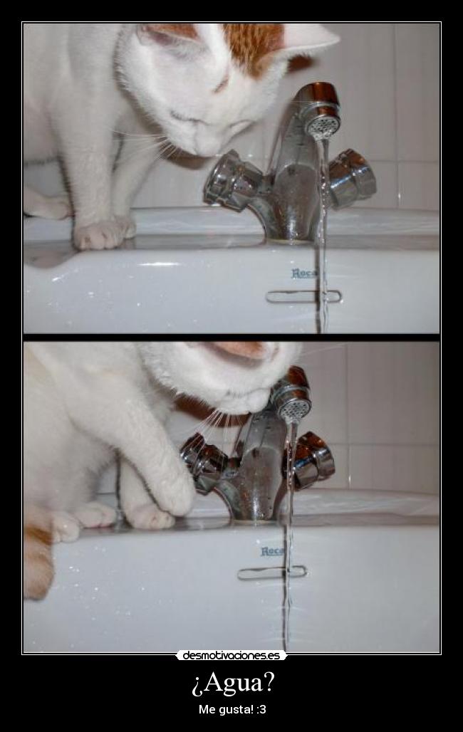 ¿Agua? - Me gusta! :3