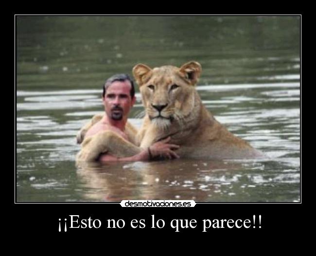 ¡¡Esto no es lo que parece!! -