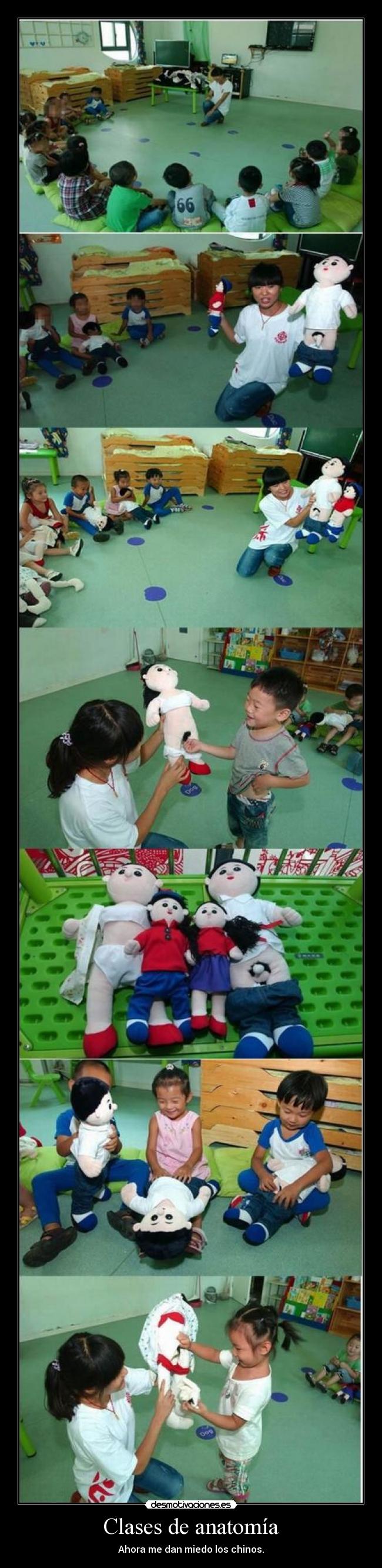 Clases de anatomía -