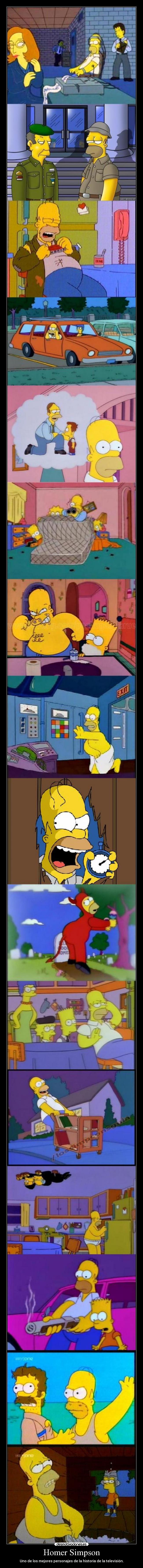 Homer Simpson - 