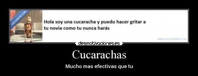Cucarachas - Mucho mas efectivas que tu