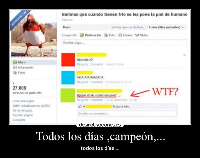 Todos los días ,campeón,... - todos los días ...