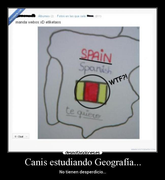 Canis estudiando Geografía... - No tienen desperdicio...