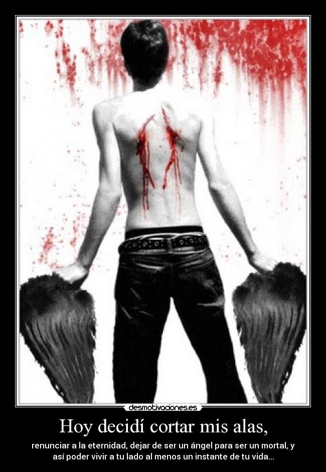 Hoy decidí cortar mis alas, - renunciar a la eternidad, dejar de ser un ángel para ser un mortal, y
así poder vivir a tu lado al menos un instante de tu vida...