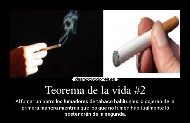 Teorema de la vida #2 -