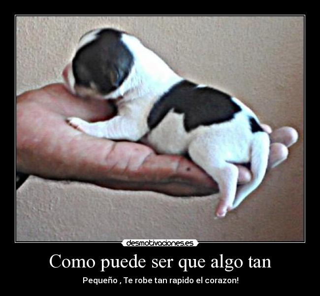 Como puede ser que algo tan - 