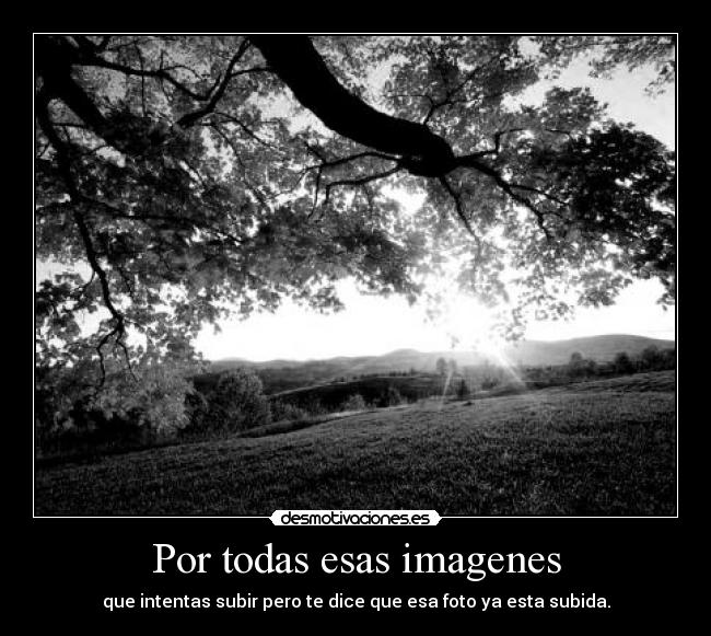 Por todas esas imagenes - que intentas subir pero te dice que esa foto ya esta subida.