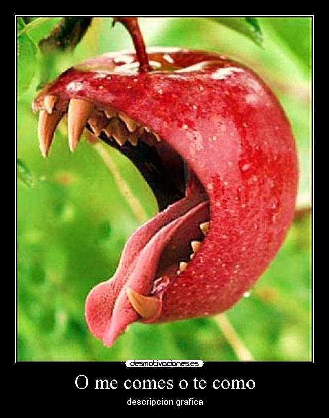O me comes o te como -