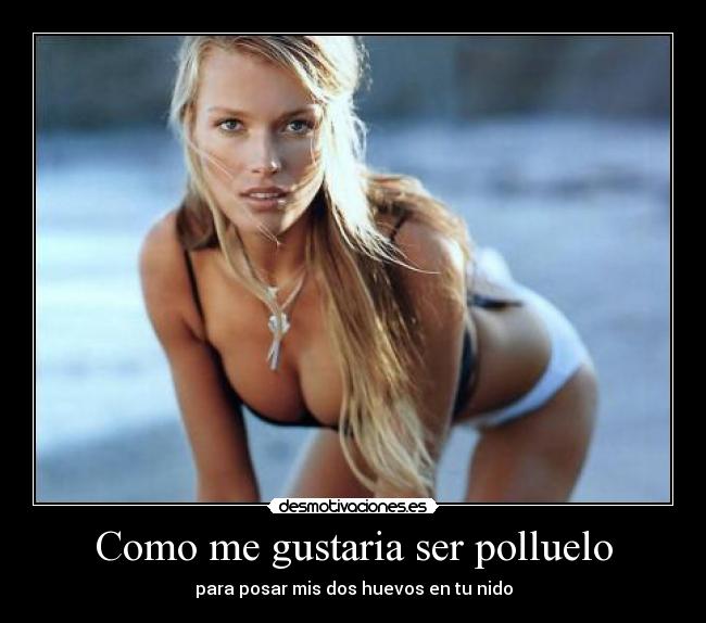 Como me gustaria ser polluelo - para posar mis dos huevos en tu nido