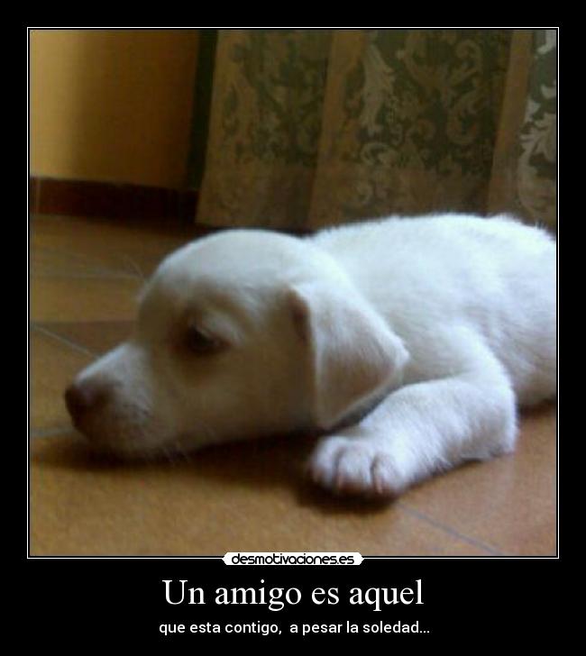 Un amigo es aquel - 