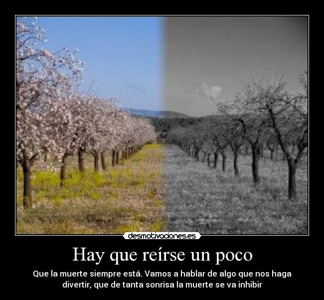 Hay que reírse un poco - Que la muerte siempre está. Vamos a hablar de algo que nos haga
divertir, que de tanta sonrisa la muerte se va inhibir