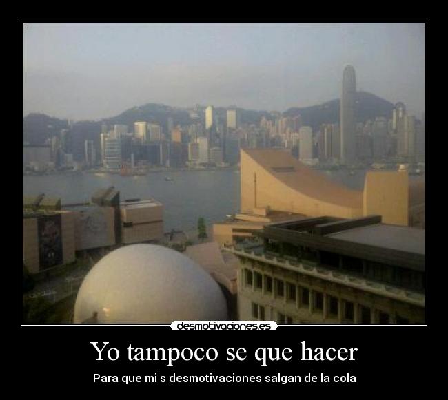 Yo tampoco se que hacer -