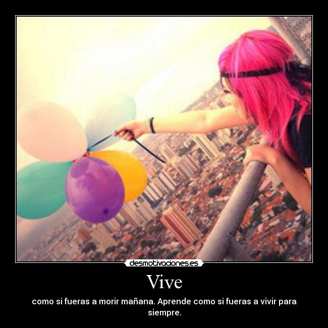Vive -
