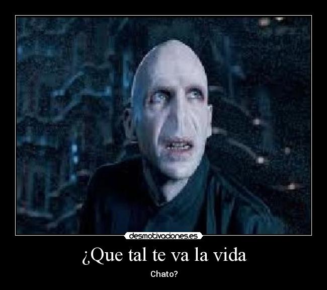¿Que tal te va la vida -