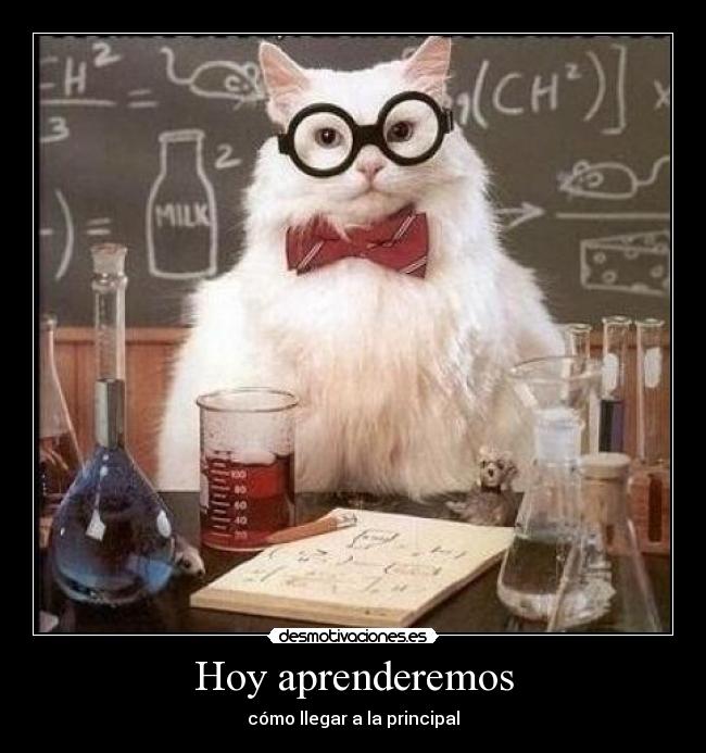 Hoy aprenderemos - 