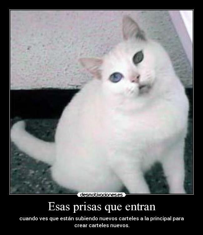 Esas prisas que entran - cuando ves que están subiendo nuevos carteles a la principal para
crear carteles nuevos.