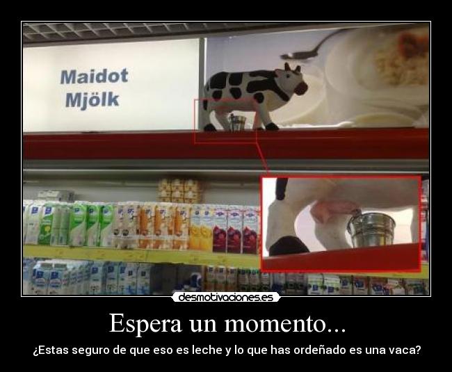 Espera un momento... - ¿Estas seguro de que eso es leche y lo que has ordeñado es una vaca?