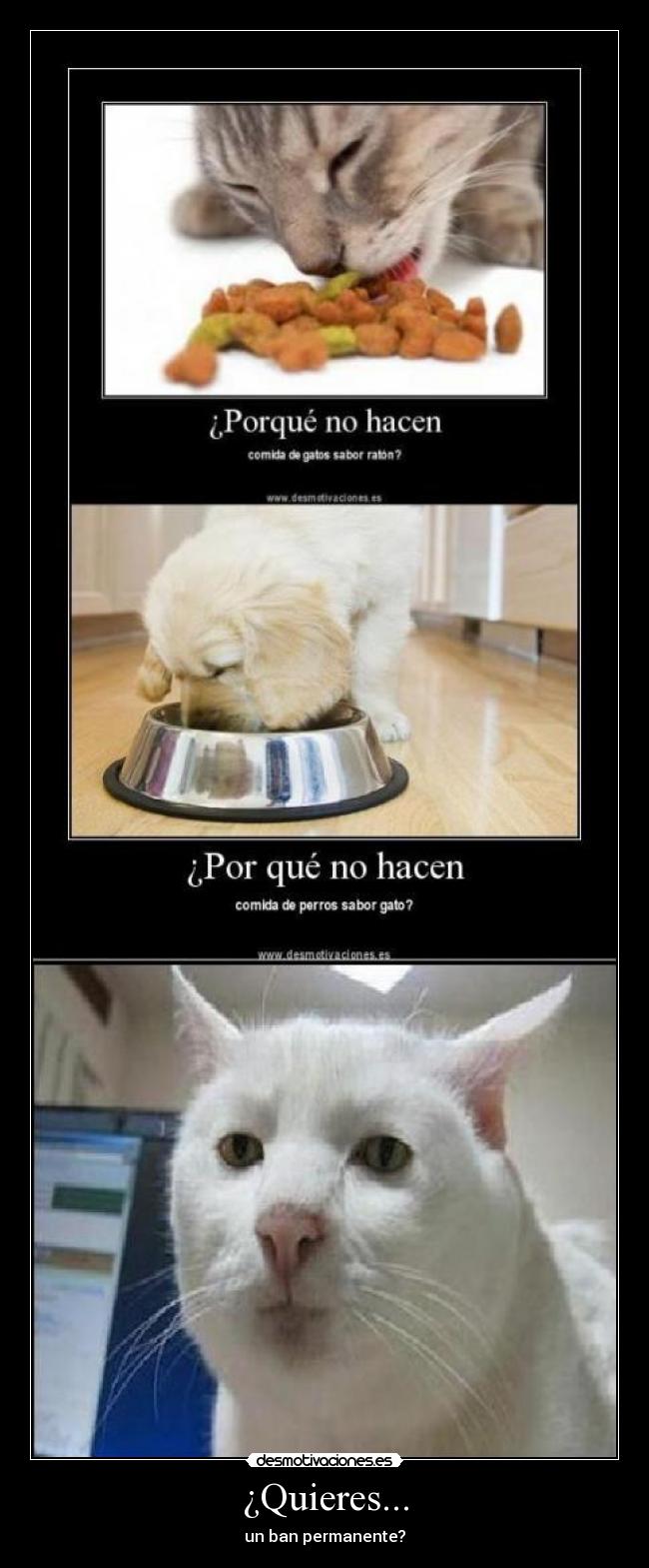 ¿Quieres... - un ban permanente?