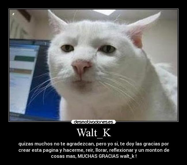 Walt_K -