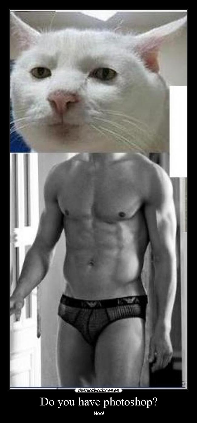 Do you have photoshop? - Noo!