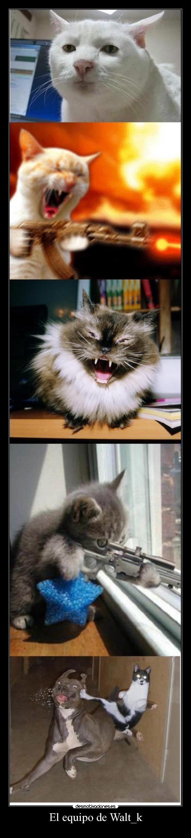 El equipo de Walt_k -