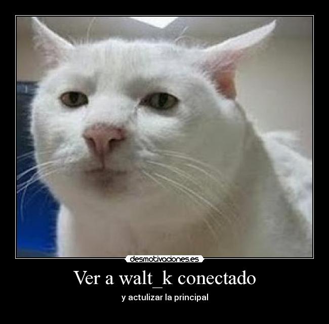 Ver a walt_k conectado - 