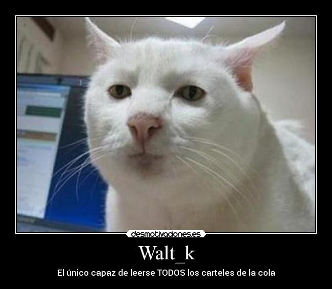 Walt_k - El único capaz de leerse TODOS los carteles de la cola