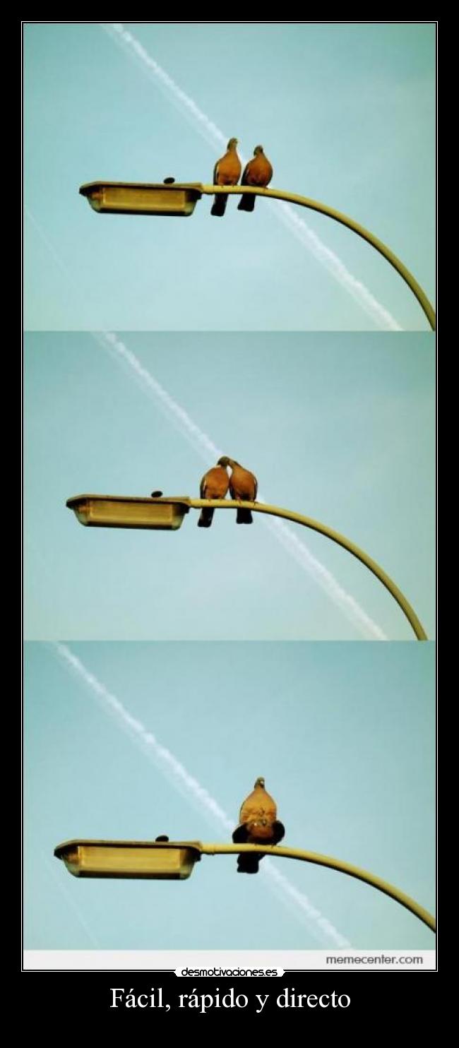 Fácil, rápido y directo -