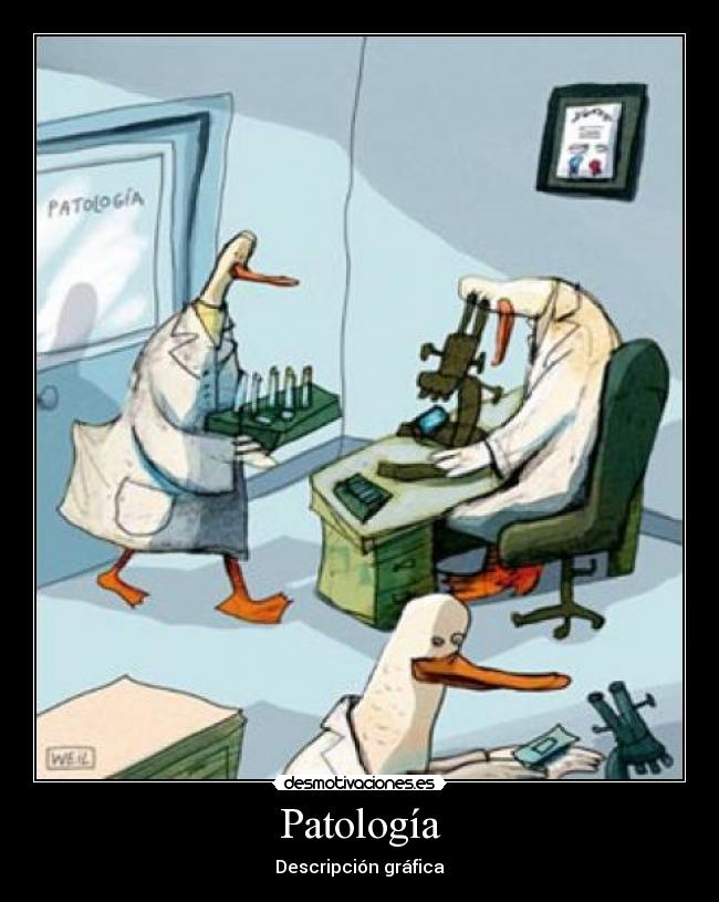 Patología -