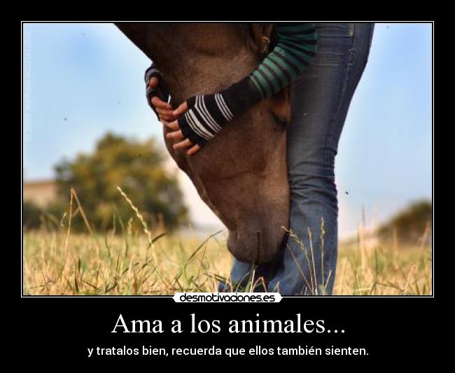 Ama a los animales... - y tratalos bien, recuerda que ellos también sienten.