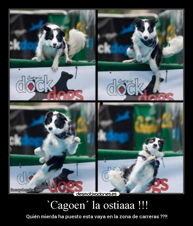 `Cagoen´ la ostiaaa !!! - 