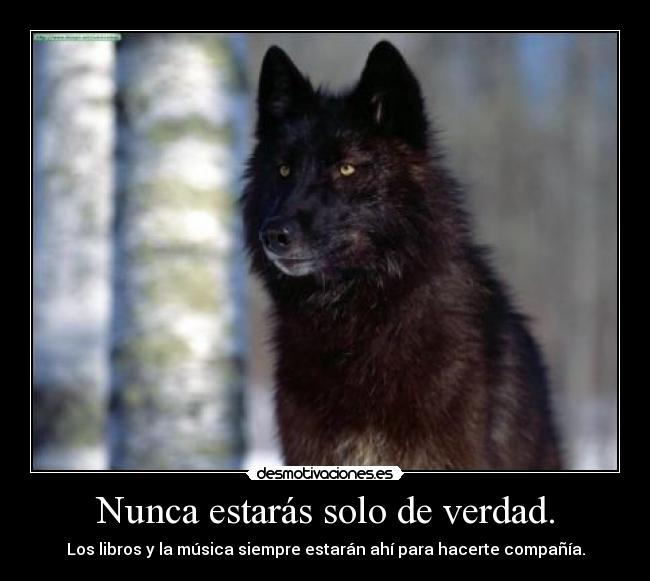 Nunca estarás solo de verdad. - Los libros y la música siempre estarán ahí para hacerte compañía.